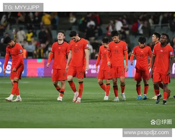 【深度解析】世界杯预选赛近况+未来走势预测 【深度解析】世界杯预选赛近况+未来走势预测