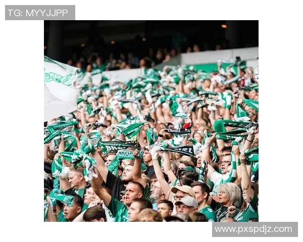 球迷文化演变史 球迷文化演变史